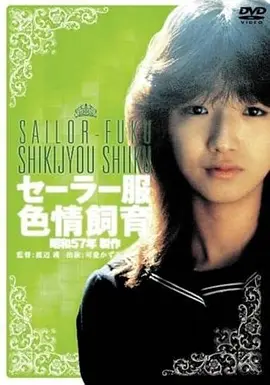 韩国R级电影《她房间里的第三把椅子》海报
